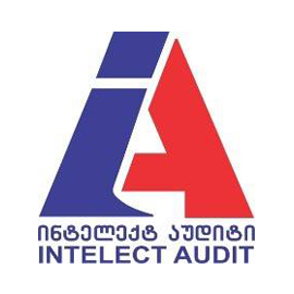 Intelect-audit
